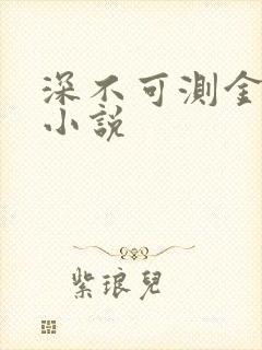 深不可测金银花小说