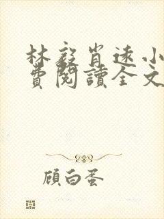 林毅肖远小说免费阅读全文最新章节