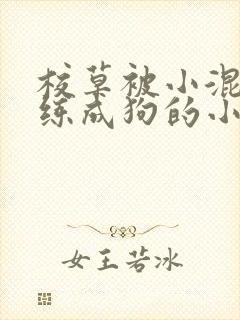 校草被小混混训练成狗的小说