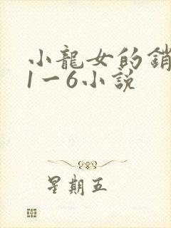 小龙女的销魂夜1一6小说