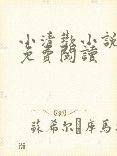 小清欢小说全文免费阅读