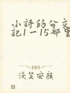 小诗的公交车日记1一15哪里能看