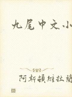 九尾中文小说网