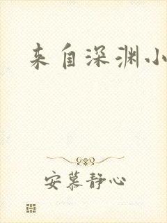 来自深渊小说