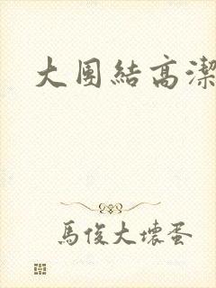 大团结高洁