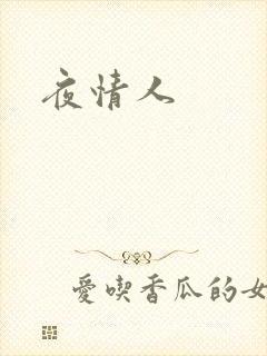 夜情人