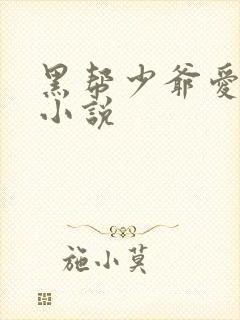 黑帮少爷爱上我小说