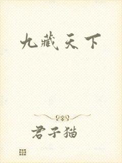 九藏天下