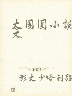 大团圆小说集全文