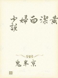 少妇白洁黄色小说