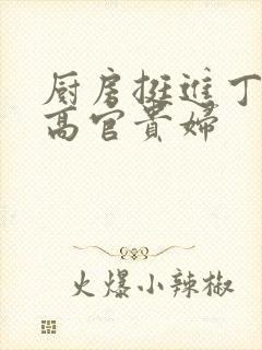 厨房挺进丁字裤高官贵妇