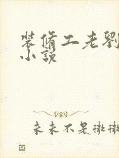 装修工老刘林雪小说