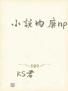 小说肉糜np