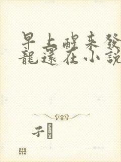 早上醒来发现巨龙还在小说