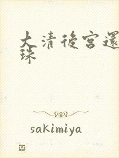 大清后宫还君明珠