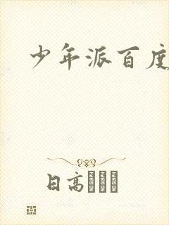 少年派百度百科