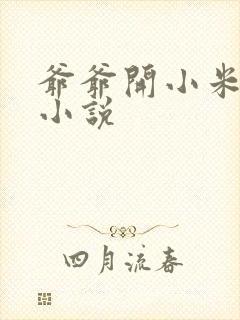 爷爷开小米的包小说