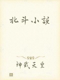 北斗小说