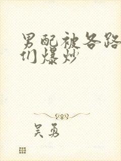 男配被各路大佬们爆炒