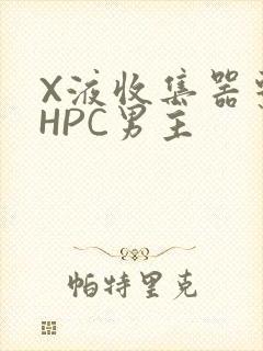 X液收集器系统HPC男主