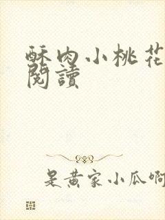 酥肉小桃花全文阅读