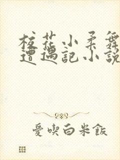 校花小柔舞蹈室遭遇记小说