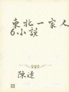 东北一家人1一6小说