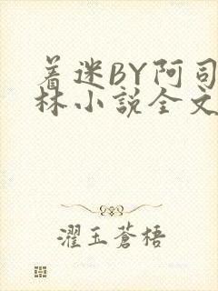 着迷BY阿司匹林小说全文免费阅读