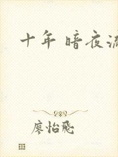 十年 暗夜流光