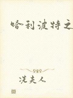 哈利波特之守护