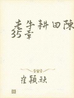 老牛耕田陈雪435章