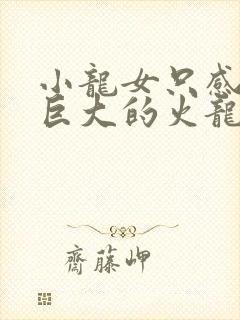 小龙女只感觉那巨大的火龙枪