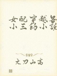 女配穿越各个做小三的小说