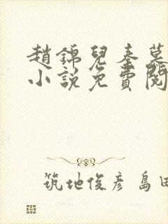 赵锦儿秦慕修的小说免费阅读全文