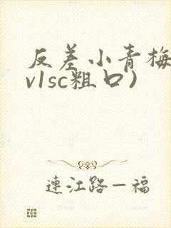 反差小青梅(1v1sc粗口)