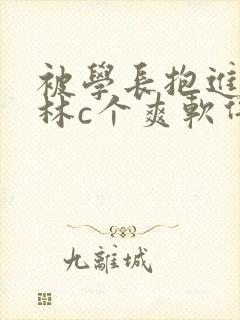 被学长抱进小树林c个爽软件