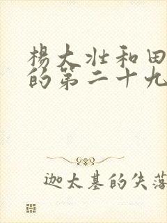 杨大壮和田桂花的第二十九