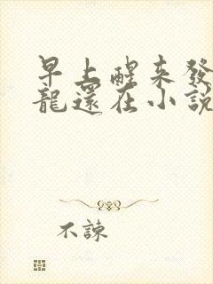 早上醒来发现巨龙还在小说