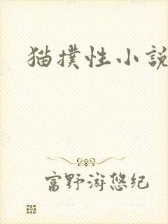 猫扑性小说