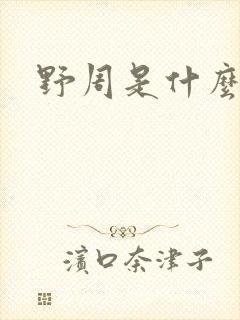 野周是什么意思