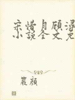 宋惜月顾浔渊的小说全文免费阅读