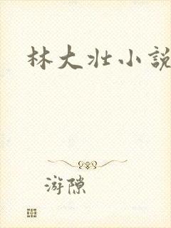 林大壮小说阅读