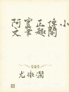 阿宾正传小说全文笔趣阁