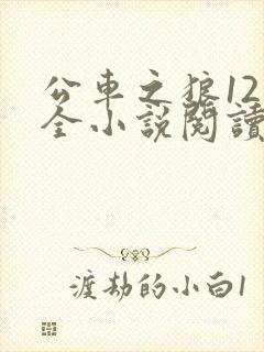 公车之狼12集全小说阅读