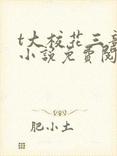 t大校花三部曲小说免费阅读全文