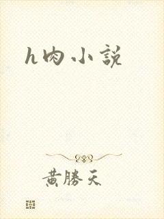 h肉小说