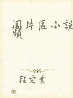 图片区小说区视频