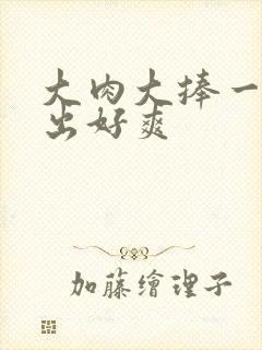 大肉大捧一进一出好爽