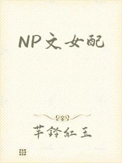 NP文女配