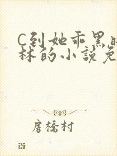 C到她乖黑暗森林的小说免费